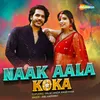 About Naak Aala Koka Song